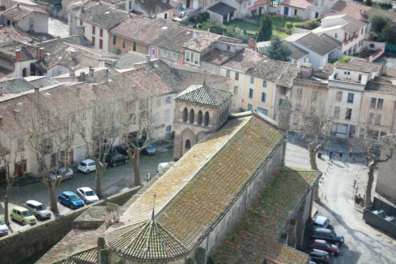 Chez Rosa Villa Carcassonne Exterior foto